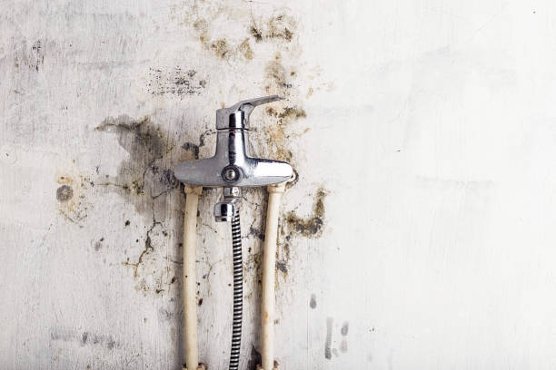 Best Water Damage Restoration  in Mckees Rocks, PA