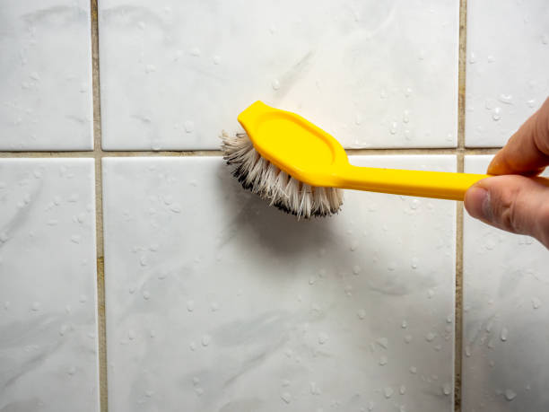 Best Black Mold Removal  in Mckees Rocks, PA