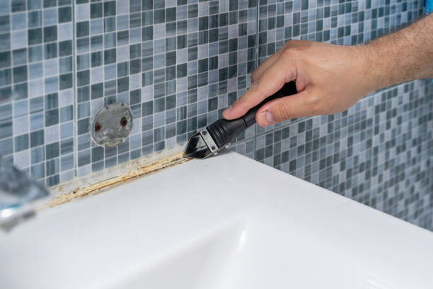 Best Mold Removal Near Me  in Mckees Rocks, PA